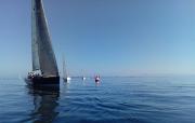 I REGATA RÍA DE AROUSA TROFEO ITH PUBLICIDAD que lidera Somni entre 17 participantes I REGATA RÍA DE AROUSA TROFEO ITH PUBLICIDAD que lidera Somni entre 17 participantes