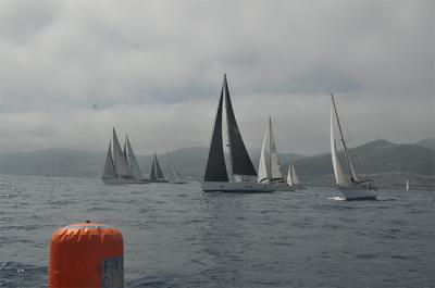 La flota de la XXIV Edición de la Regata Bahía de Pollença navega rumbo a Mallorca La flota de la XXIV Edición de la Regata Bahía de Pollença navega rumbo a Mallorca