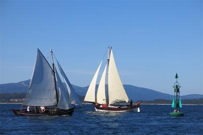 Las Dornas de Tope vuelven a dominar el III Gran Premio Agalcari del Club Náutico de Boiro Las Dornas de Tope vuelven a dominar el III Gran Premio Agalcari del Club Náutico de Boiro
