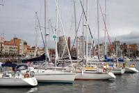 Los barcos, en su totalidad franceses que componen la flota de la Regata  Royan-Gijón descansan en el puerto deportivo de Gijón.