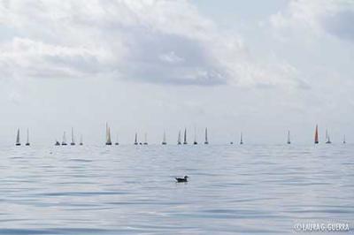 Nadir V, campeón de la Regata Audax Marina Trofeo Hispanidad