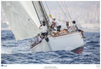 Nyala, campeón de la clase 12 metros Moonbeam IV, Marigold, Peter y Samurai, vencedores de la VII Puig Vela Clàssica Barcelona Nyala, campeón de la clase 12 metros Moonbeam IV, Marigold, Peter y Samurai, vencedores de la VII Puig Vela Clàssica Barcelona