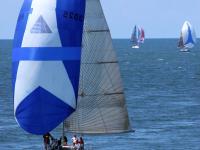 ‘Phoneix’ y ‘Zumaia’ se llevan las ballenas de oro