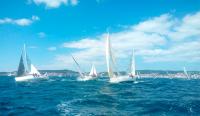 Record de participación en XVI Regata Frinsa–Trofeo Presidente Ramiro Carregal Rey, 43 embarcaciones llenan la bahía