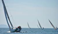 Regata Ria de Pontevedra, Sebrala y Sqüid brillantes vencedores Regata Ria de Pontevedra, Sebrala y Sqüid brillantes vencedores