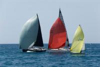 Torrevieja. Caf, Brisa y Cicero campeones de la III regata Chantal- Ondacero Vega Baja