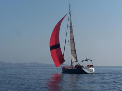 Trofeo Altura del RCR de Alicante. Triunfo de Trabuco, Notenom  y Blue Oscar