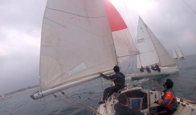 Una vez más, la regata de crucero se convirtió en un desfile sin sentido Una vez más, la regata de crucero se convirtió en un desfile sin sentido