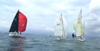 Vikingo, Tanjaoui y Noticia II en ORC y Tacuarita en J80 encabezan la primera jornada del XXIV Beck´s Gibraltar Regatta.