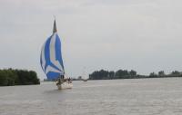 ‘Idefix’ del C.N. Guadiana vencedor del Ascenso a vela del río Guadalquivir