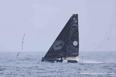 Arkea Ultim Challenge Brest.: Historias de albatros Arkea Ultim Challenge Brest.: Historias de albatros