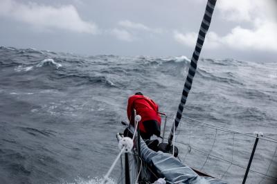 D+86: entre las 190 millas a meta y las 5100 del que cierra regata D+86: entre las 190 millas a meta y las 5100 del que cierra regata
