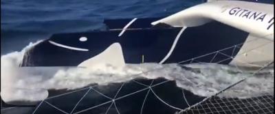 Daños graves para el Maxi Edmond de Rothschild - Route du Rhum. Thomson lidera las IMOCA Daños graves para el Maxi Edmond de Rothschild - Route du Rhum. Thomson lidera las IMOCA
