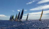 Lorient Horta Solo: La flota gana latitud norte desde las Açores 
