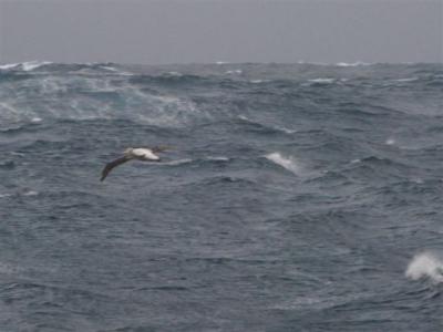 Vendée Globe: Se liman diferencias con el lider. La flota espera una nochebuena... mala Vendée Globe: Se liman diferencias con el lider. La flota espera una nochebuena... mala