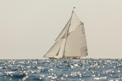 El ‘baile’ de Lady Anne pone fin a una espectacular Copa del Rey Repsol de Barcos de Época El ‘baile’ de Lady Anne pone fin a una espectacular Copa del Rey Repsol de Barcos de Época