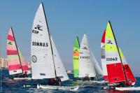 Alicante y Torrevieja corona a sus campeones de la Olympic Week Comunitat Valenciana