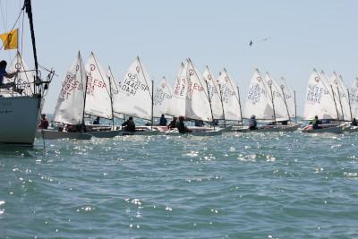 Campeonato de Andalucía de Optimist Campeonato de Andalucía de Optimist