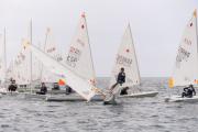Casi un centenar de regatistas se dan cita en el III Trofeo Natalio Comas del CNP Casi un centenar de regatistas se dan cita en el III Trofeo Natalio Comas del CNP