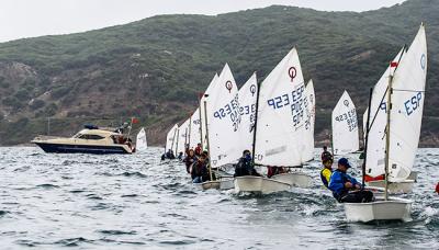 Contundentes victorias de Benalmádena en el Campeonato Provincial de Optimist Málaga-Campo de Gibraltar.