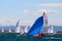 El RCN Valencia corona a los campeones autonómicos de Snipe, 29er y 420