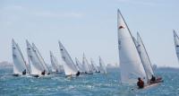 El sevillano Carlos de Bricio gana la V Regata CV Bahía de Cádiz de Patín a Vela
