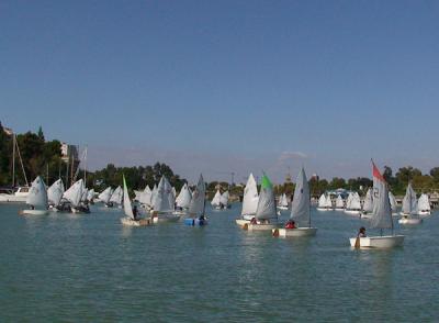 La darsena del Guadalquivir acoge la 33 Edición del Trofeo Club Náutico Sevilla de Optimist La darsena del Guadalquivir acoge la 33 Edición del Trofeo Club Náutico Sevilla de Optimist