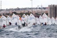 La meteorología condiciona el arranque del Trofeo Euromarina Optimist Torrevieja