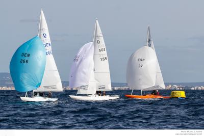 Las VIII Puerto Portals Dragon Winter Series vivirán un final al rojo vivo Las VIII Puerto Portals Dragon Winter Series vivirán un final al rojo vivo