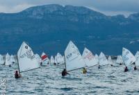 Los más pequeños triunfaron en el Trofeo Vela Infantil Ciudad de Oliva