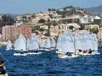 Victorias repartidas en el Provincial de Optimist de Málaga y Campo de Gibraltar