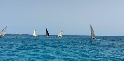 El Tritón Clínica Veterinaria Bari alza la II Copa de Vela Latina del Sur