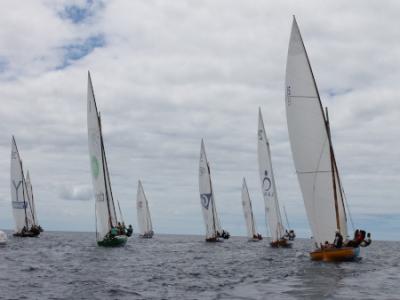 La Federación de Vela Latina Canaria de Botes suspende de manera unilateral el Encuentro de Botes y Barquillos La Federación de Vela Latina Canaria de Botes suspende de manera unilateral el Encuentro de Botes y Barquillos