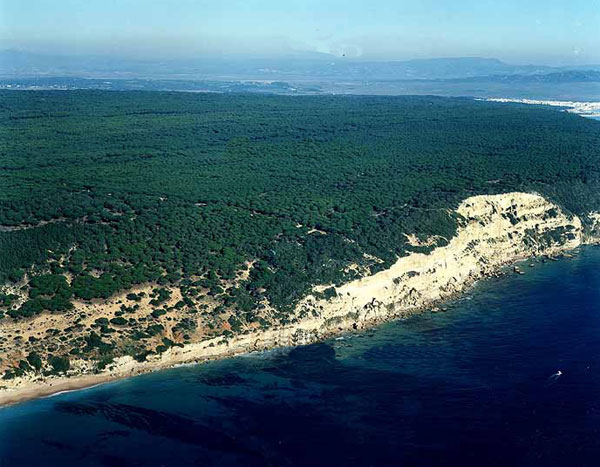 Costa de los Caños de Meca. Barbate Costa de los Caños de Meca. Barbate