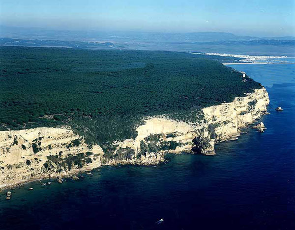 Costa del Parque Natural de la Breña y las marismas de Barbate Costa del Parque Natural de la Breña y las marismas de Barbate