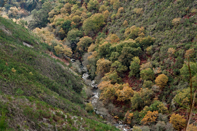 Fervenzas de Penavaqueira