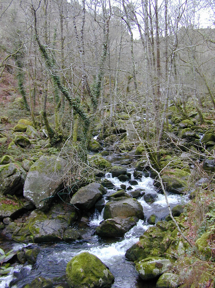 Fervenzas del Barbantiño y Camino natural del río Barbantiño Fervenzas del Barbantiño y Camino natural del río Barbantiño