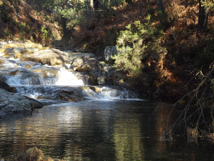 Asi baja el río Asi baja el río