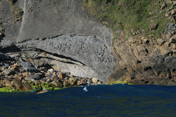 Huellas de dinosaurios en la punta de Somos Huellas de dinosaurios en la punta de Somos