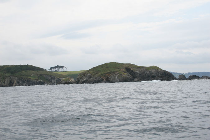 Isla de Vega. Isla de Vega.