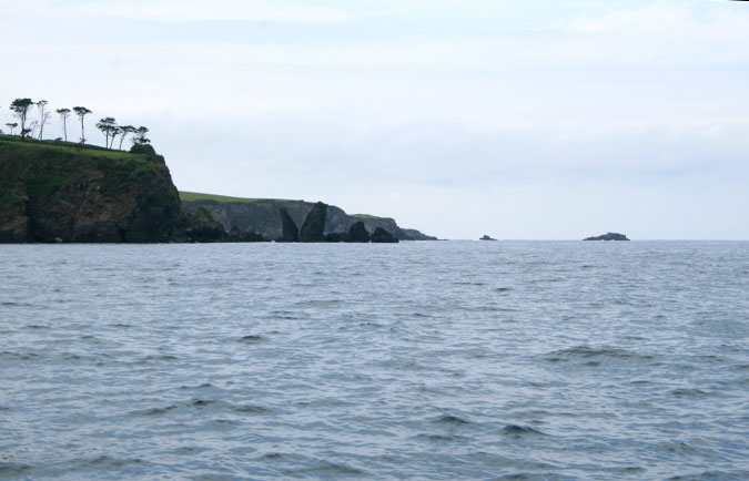 Punta Pata Roja Punta Pata Roja