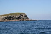 La punta de la Ballena desde el E