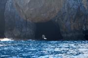 El arco del S