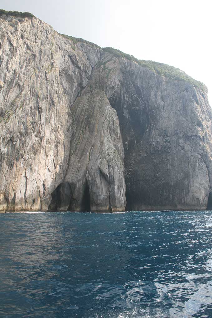 Cara occidental