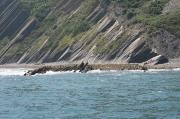 Punta Sakoneta. Así entran las sierras del Flisch en la mar. Marea alta