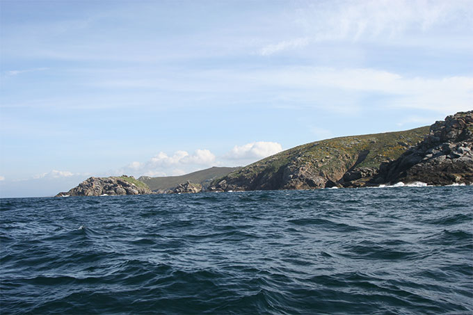 Isla Freitosa desde el Sur Isla Freitosa desde el Sur