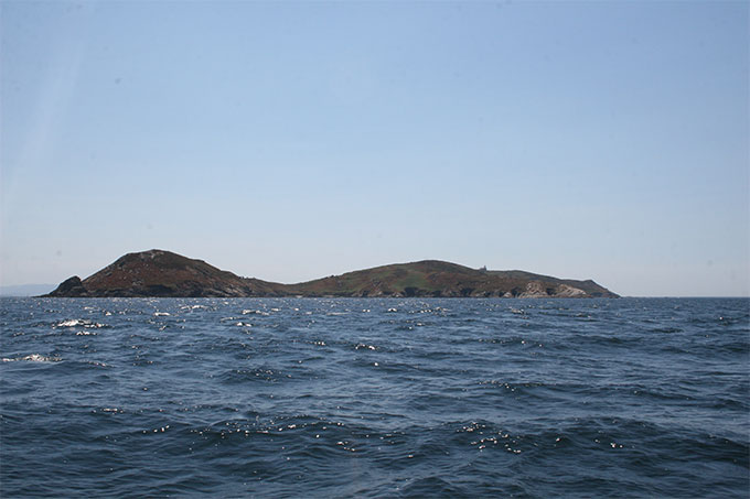 Ons desde el NW Ons desde el NW