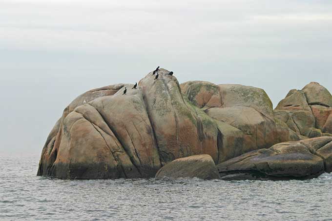 Piedras de los Xidoiros. Naturaleza viva Piedras de los Xidoiros. Naturaleza viva
