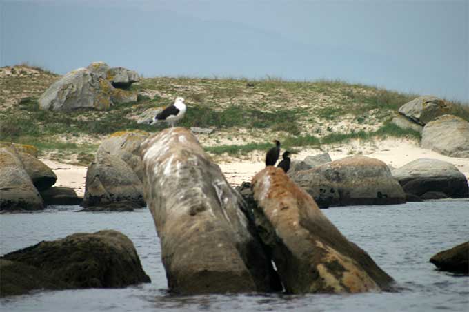 Xidoiros y Carreirón sitio especial para la observación de aves Xidoiros y Carreirón sitio especial para la observación de aves