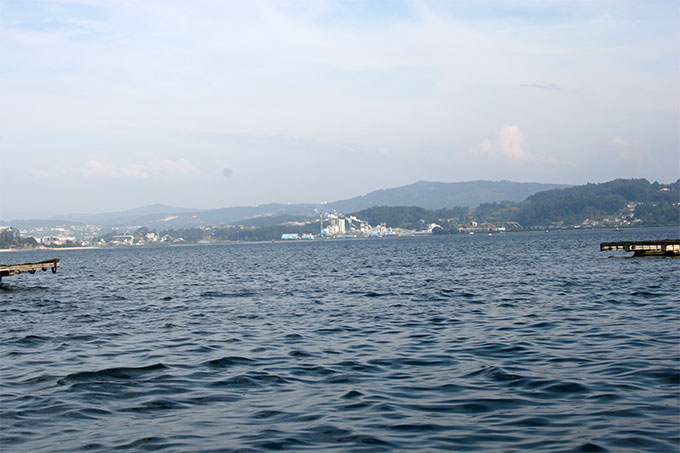 Fondo de la ría de Pontevedra Fondo de la ría de Pontevedra
